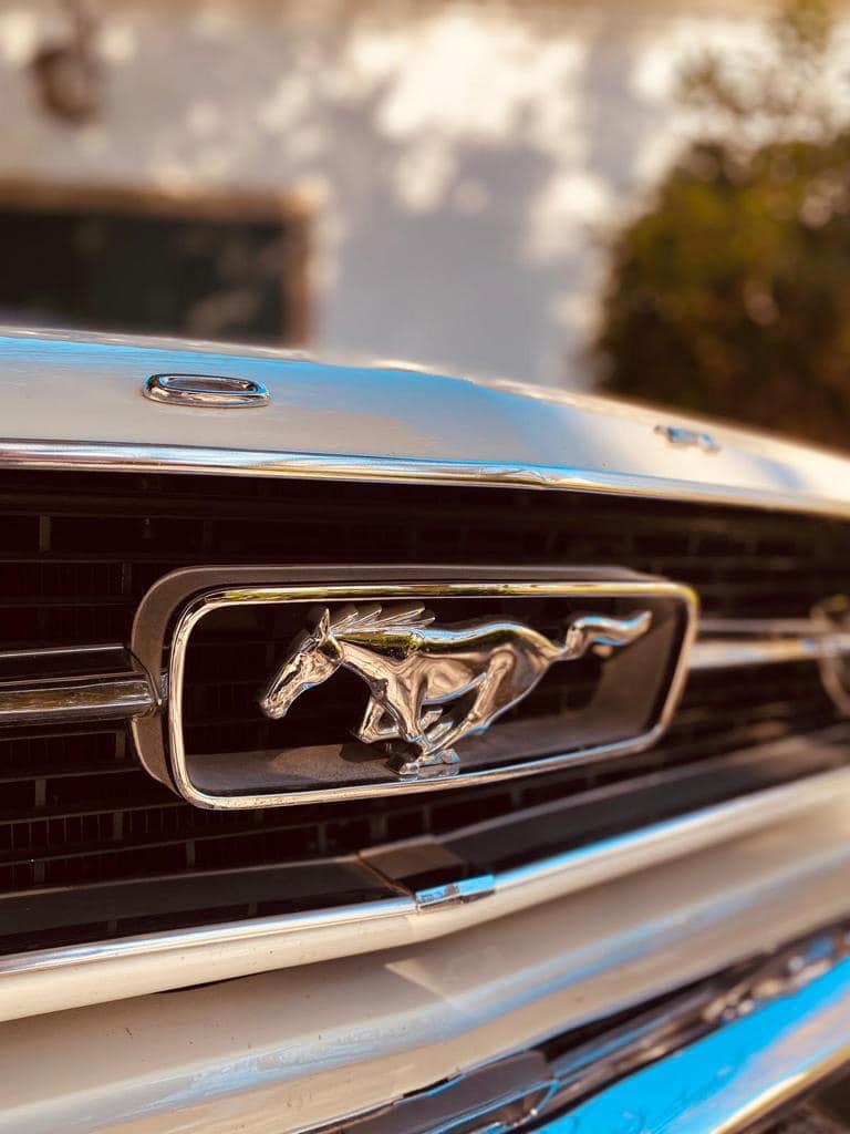 Detalhe do emblema cromado do cavalo Mustang na grelha frontal do Ford Mustang 1966 branco, A&M Wedding Cars