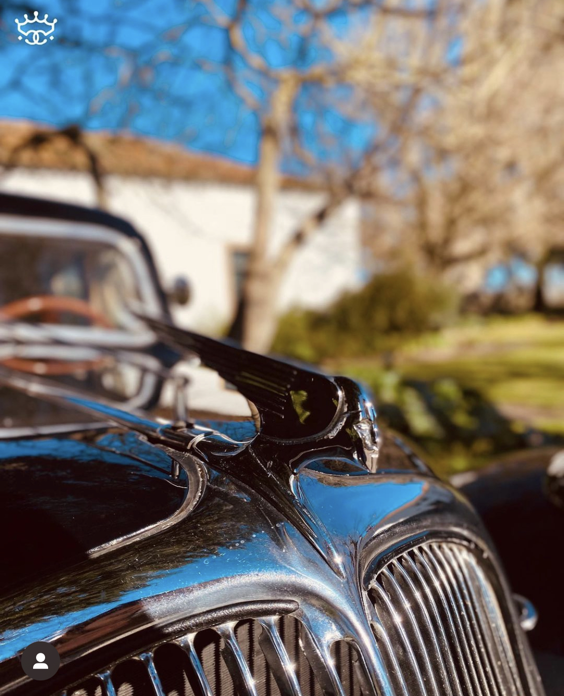 Detalhe do capô e ornamento cromado do Citroën Traction preto polido, A&M Wedding Cars